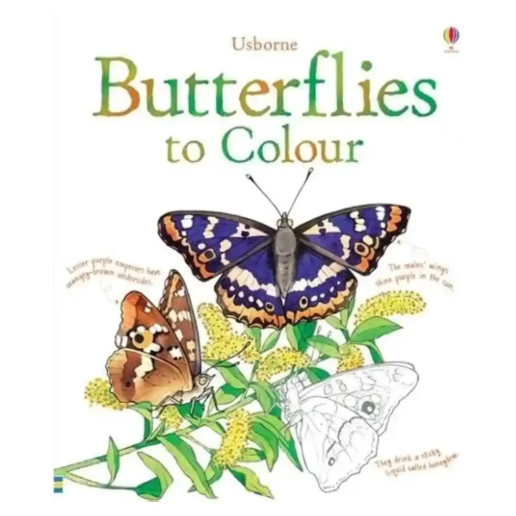 Butterflies to Colour