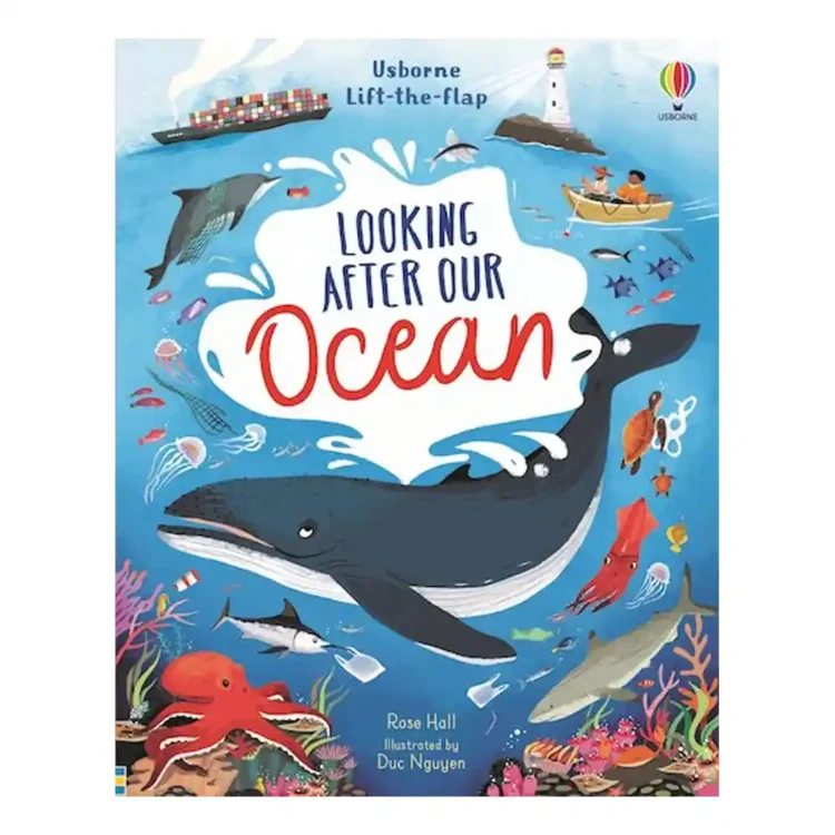 Lift-the-Flap Looking After Our Ocean