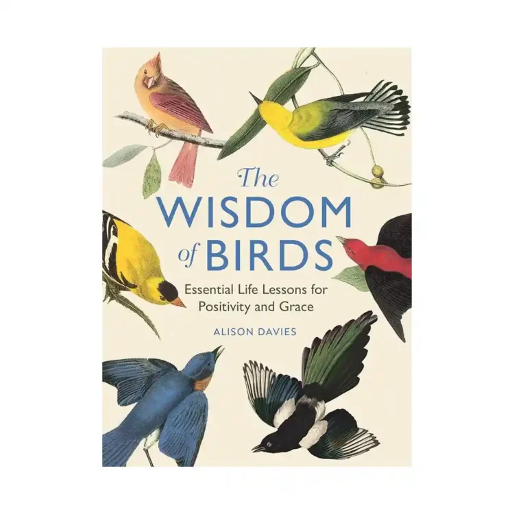 The Wisdom of Birds hardback by Alison Davies ISBN 9781915751140 LOM Art Michael O'Mara Books Sri Lanka